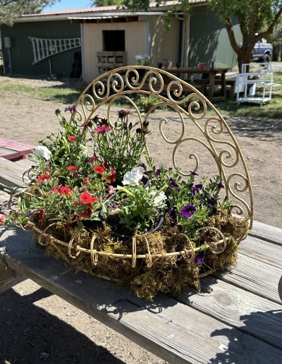 Garden arch flowers
