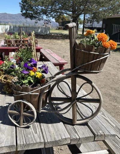 Garden cart flowers