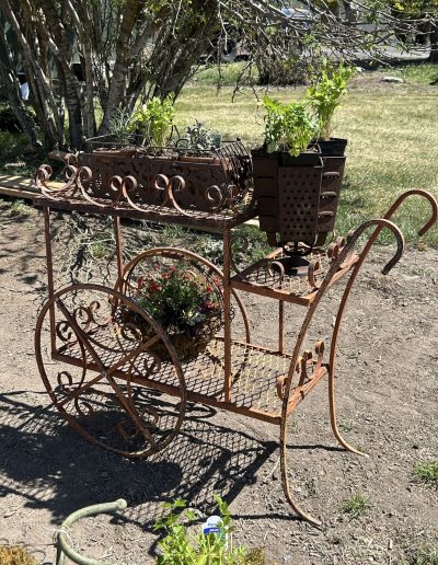 Garden cart planted