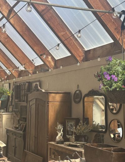 Greenhouse flowers hanging